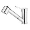 Slika slavina narcis ch/t (bdn 071m)