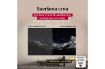 Slika tv oled55c51la